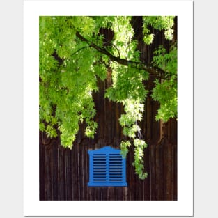 Blue Shutters Posters and Art